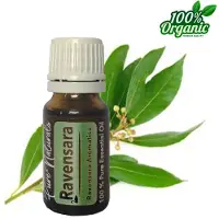 Pure Naturals Ravensara etherische Olie 10 ml | Ravensara Oil | 100% PUUR | Bio | Essentiële olie Aromatherapie | Olie diffuse |