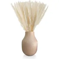 Blumtal Pampas Pluimen - Droogbloemen - Boeket - Set Gedroogde Bloemen - 58 / 60 cm - Wit - 100 Stuks