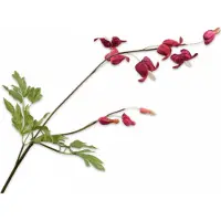 Silk-ka Kunstbloem-Zijden Bloem Frittelaria Tak Rood-Bruin 71 cm