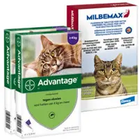Elanco Deutschland GmbH Preventiepakket Binnenkat 4 - 8 kg