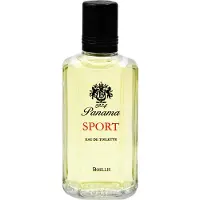 Boellis 1924 Eau de Parfum Spray 100 ml Heren