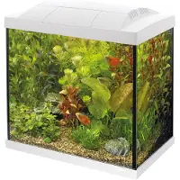 Superfish Start 30 tropical kit wit