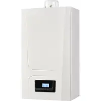 Remeha Avanta Ace 28C CW4 (CONC. 60/100) + Dakdoorvoerset