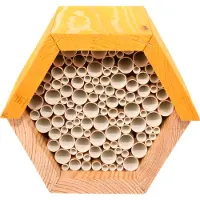 Pflanzen-Kölle Insectenhuis Bij Geel 14,8 X 14,6 X 12,8 Cm