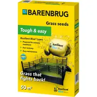 Barenbrug Graszaad | | Resilient Blue Lawn | 50 m²