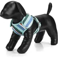 Beeztees Polyester borsttuig Diago. Mint, verstelbaar.