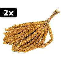 De Vries 2x - TROSGIERST 1KG