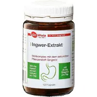 Dr. Wolz Gember Extract - met plantenstof Gingerol - supplement voor rustige maag en tegen misselijk - Supplement voor duikers