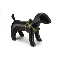 Beeztees BZ NY GESCH UNI HELLGRUE 60-10 (Hond, Algemeen)
