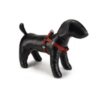 Beeztees BZ NY GESCH UNI LICHTBRUIN 60-10 (100, Hond, Algemeen)