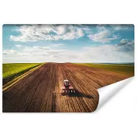Karo-art 208cm X 146cm - Fotobehang - Landbouw, premium print, inclusief behanglijm