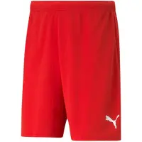 Puma Sportbroek 'TeamRise' rood / wit