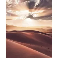 Komar Vliesbehang Digitale print vlies - God Rays - Afmeting 200 x 250 cm (1 stuk)