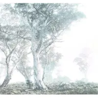 Overig Fotobehang Magic Trees - Wit - 2,80m X 300cm