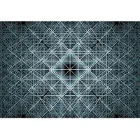 Komar Vliesbehang Vlies - Matrix - Afmeting 368 x 248 cm