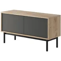 Meubella TV-Meubel Mat Zwart 120 cm industrieel