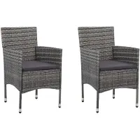 vidaXL Chaises à manger de jardin lot de 2 Résine tressée Gris46180