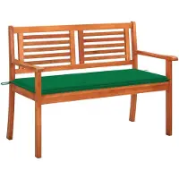 vidaXL Tuinbank 2-zits met kussen 120 cm massief eucalyptushout