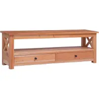 vidaXL Tv-meubel 120x30x40 cm massief mahoniehout