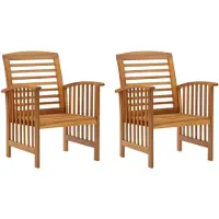 vidaXL Tuinstoelen 2 st massief acaciahout