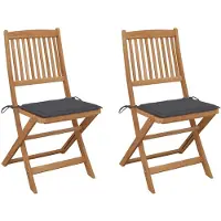 vidaXL Tuinstoelen 2 st inklapbaar met kussens massief acaciahout