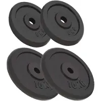vidaXL Halterschijven, 4 stuks: 2 x 10 kg + 2 x 5 kg, gietijzer