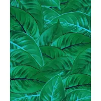Komar Vliesbehang Digitale print vlies - Jungle Leaves - Afmeting 200 x 250 cm (1 stuk)