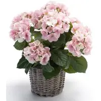 Hermie Kunstplant Hortensia roze in rieten mand 45 cm - Kamerplant roze Hortensia