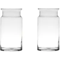 Merkloos Set van 2x stuks glazen bloemen vaas/vazen 29 x 15 cm transparant - Vazen
