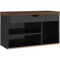 vidaXL Schoenenbank met kussen 80x30x47 cm hout hoogglans zwart