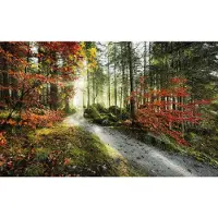 Overig Fotobehang Feuerzungen - Meerkleurig - 2,80m X 450cm