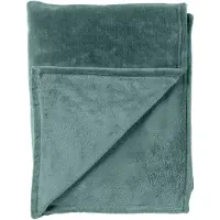 Dutch decor - BILLY - Plaid 150x200 cm - flannel fleece - superzacht - Sagebrush Green - groen