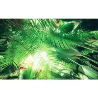 Overig Fotobehang Dschungeldach - Groen - 2,80m X 450cm