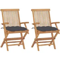 vidaXL Tuinstoelen 2 st met antracietkleurige kussens massief teakhout