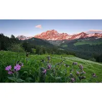 Overig Fotobehang Picturesque Switzerland - Meerkleurig - 2,80m X 450cm