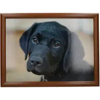Creative Tops Zwarte Labrador Dienblad