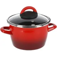Blokker Rvs Rode Kookpan/pan Met Glazen Deksel 20 Cm 6 Liter - Kookpannen