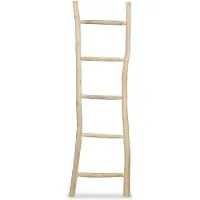 vidaXL Handdoekenladder met 5 sporten 45x150 cm teakhout