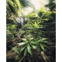 Komar Spirit Vlies Fotobehang 200x250cm 2-banen