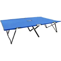 vidaXL Ligbed 2-persoons inklapbaar staal blauw