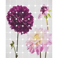Komar Vliesbehang Digitale print vlies - Flowers & Dots - Afmeting 200 x 250 cm (1 stuk)