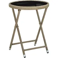vidaXL Salontafel 60 cm poly rattan en gehard glas beige