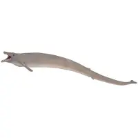 Collecta Figurine - Basilosaurus - (Xl) - Prehistorie - Handgeschilderd - Miniatuur