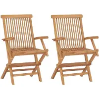 vidaXL Tuinstoelen 2 st inklapbaar massief teakhout