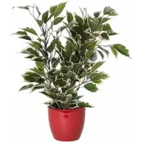 Mica Decorations Groen/witte ficus kunstplant 40 cm met plantenpot wijnrood D13.5 en H12.5 cm - Kunstplanten
