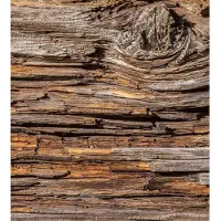 Blokker Dimex Tree Bark Vlies Fotobehang 225x250cm 3-banen
