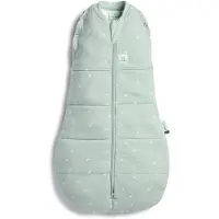 ErgoPouch Slaapzak Baby Cocoon Winter - 3-6 maanden - 70cm - TOG 2.5 - Sage