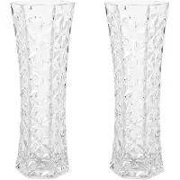 Blokker Set Van 2x Stuks Bloemenvazen Van Ornament Glas 29 X 11 Cm - Vazen