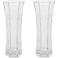 Gerimport Set van 2x stuks bloemenvazen van ornament glas 29 x 11 cm - Vazen