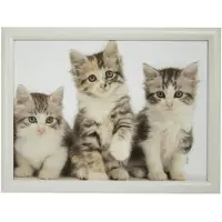 Mars & More Laptray/schoottafel 3 kat/poes/kittens print 43 x 33 cm - Dienbladen